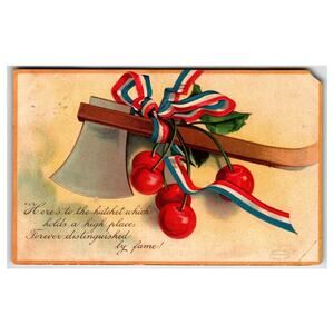 Raphael Tuck George Washington Hatchet Cherries Patriotic Postcard 1909